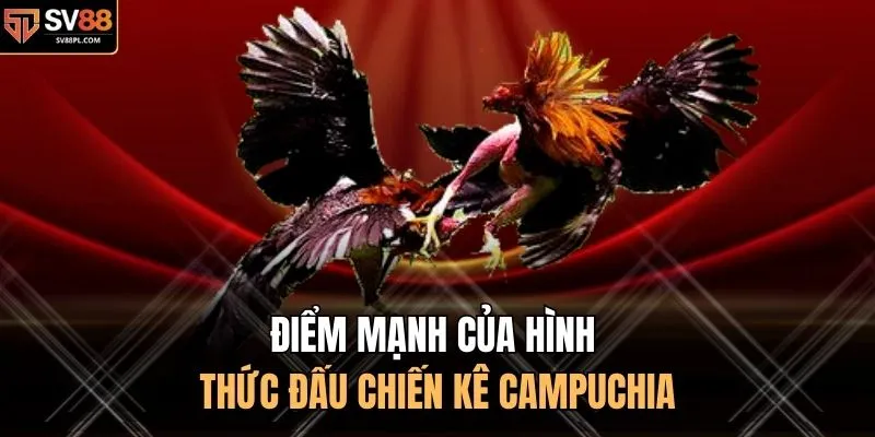 Điểm mạnh của hình thức đấu chiến kê Campuchia