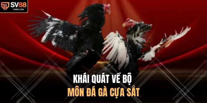 Khái quát về bộ môn đá gà cựa sắt