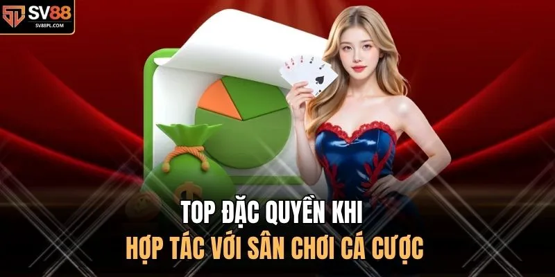 TOP đặc quyền khi hợp tác với sân chơi cá cược